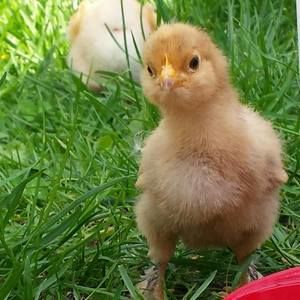 Meet your Posher, Jackie